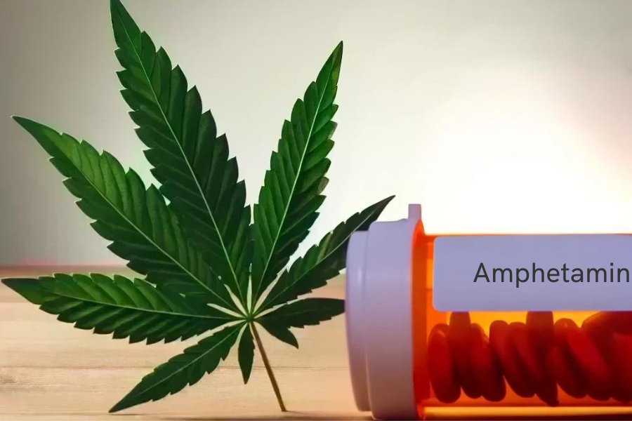 Cannabis und Amphetamine (z.B. Adderall, Adderall XR)