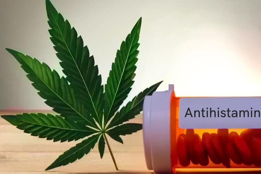 Cannabis und Antihistamine (z.B. Claritin, Lorano, Zyrtec, Cetirizin)