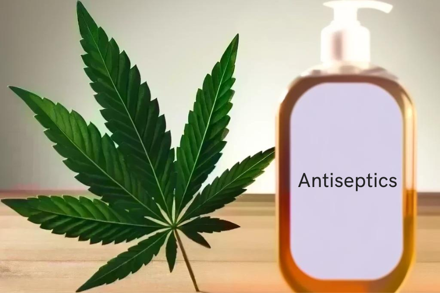 Cannabis und Antiseptika (z.B. Hibiclens, Peride, Chlorhexamed, Corsodyl)