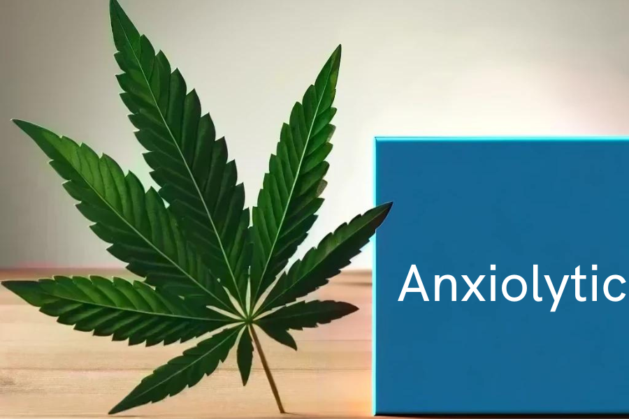 Cannabis und Anxiolytika (z.B. Diazepam, Lorazepam)