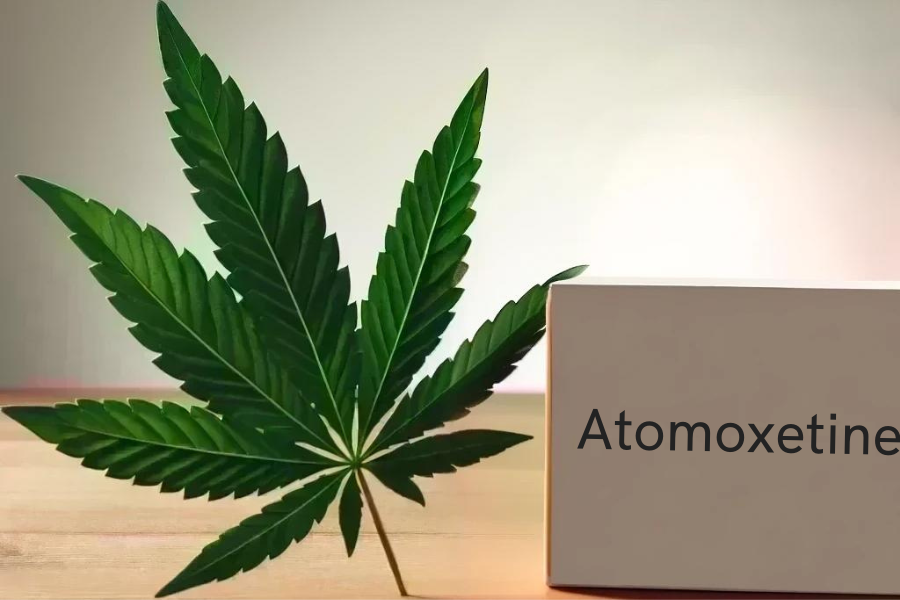 Cannabis und Atomoxetin (z.B. Strattera, Attentin)