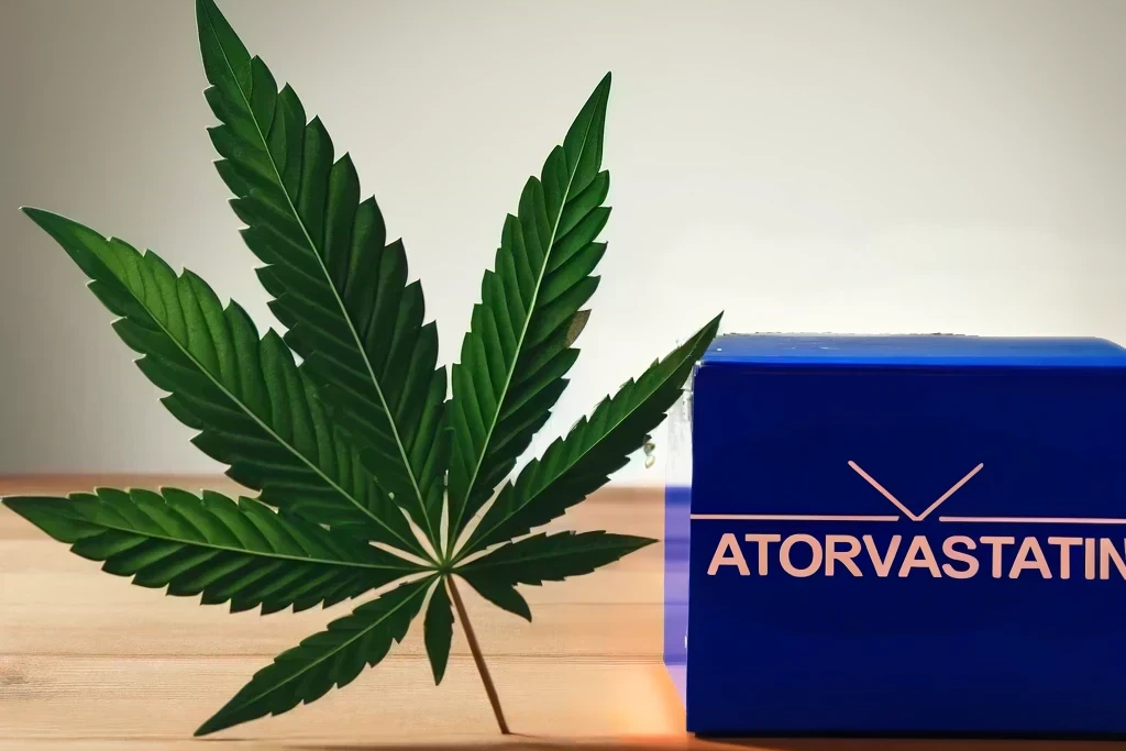 Cannabis und Atorvastatin (z.B. Lipitor, Sortis, Atoris, Totalip)