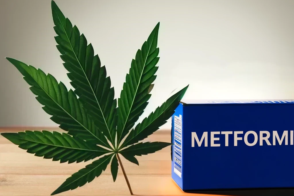 Cannabis und Metformin (z.B. Glucophage, Metformin-ratiopharm, Metformax)