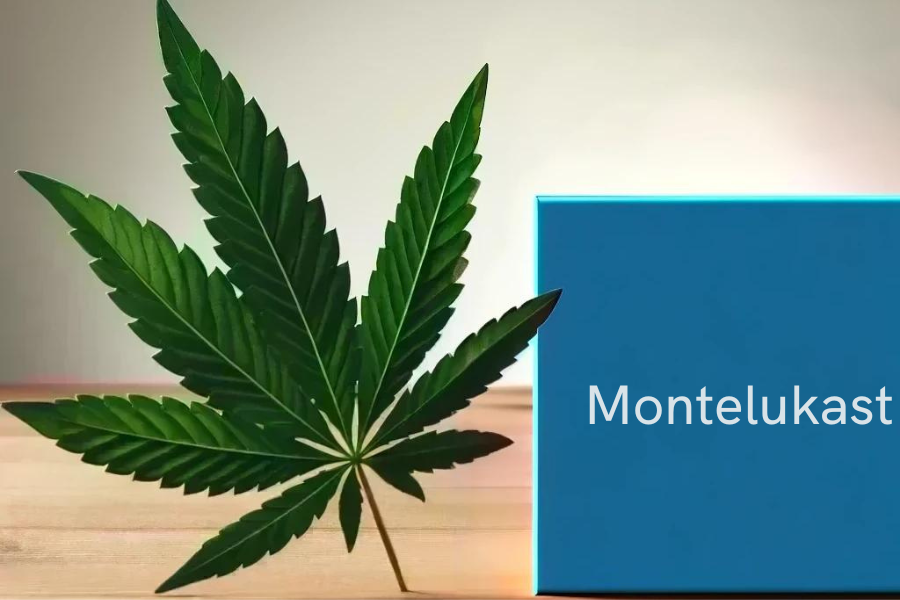 Cannabis und Montelukast (z.B. Singulair, Montelukast-ratiopharm)