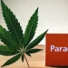 an image showing the interaction between cannabis and paracetamol