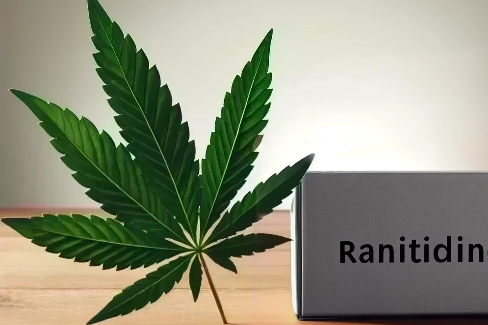 Cannabis und Ranitidin (z.B. Zantac, Sostril, Ranitic)