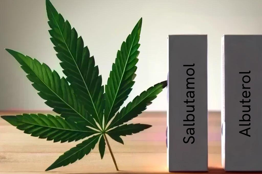 Cannabis und Salbutamol/Albuterol (z.B. Ventolin, ProAir, Ventolin, SalbuHEXAL, Sultanol)