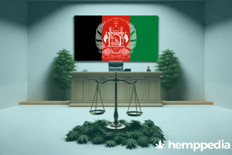 Ist Cannabis in Afghanistan legal? – Update 2024