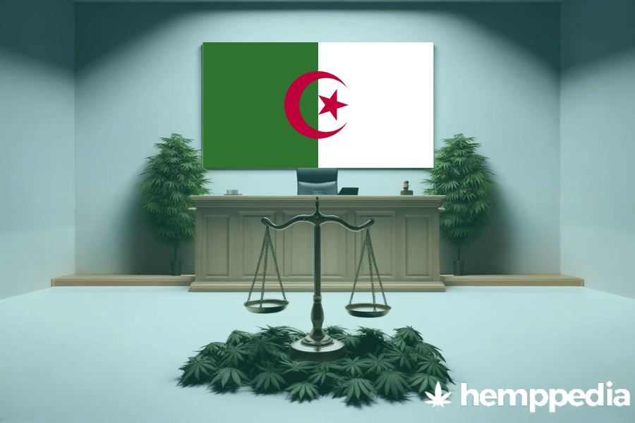 Ist Cannabis in Algerien legal? – Update 2024