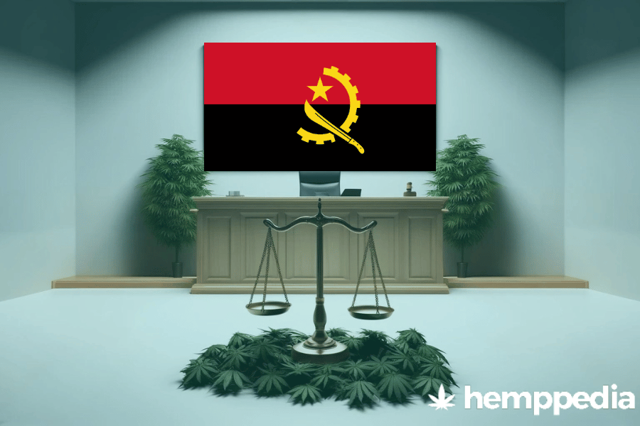 Ist Cannabis in Angola legal? – Update 2024