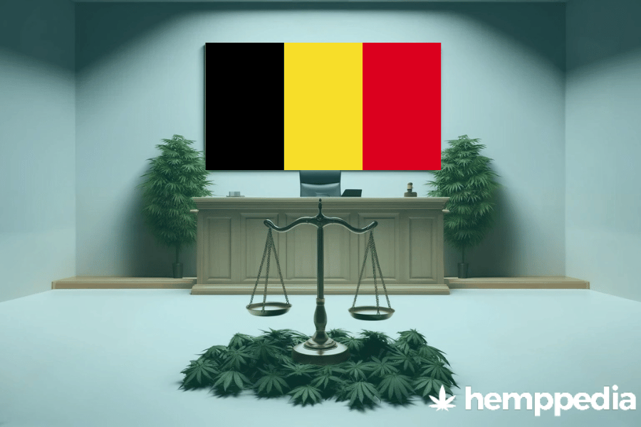 Ist Cannabis in Belgien legal? – Update 2024