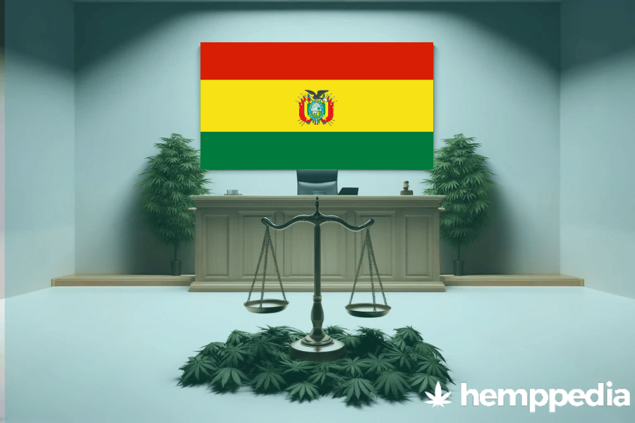 Ist Cannabis in Bolivien legal? – Update 2024