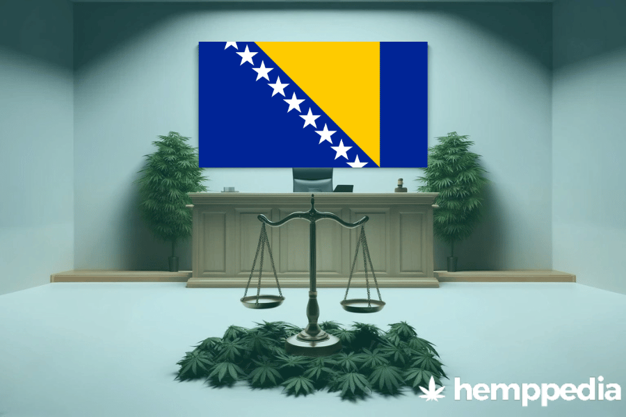 Ist Cannabis in Bosnien und Herzegowina legal? – Update 2024