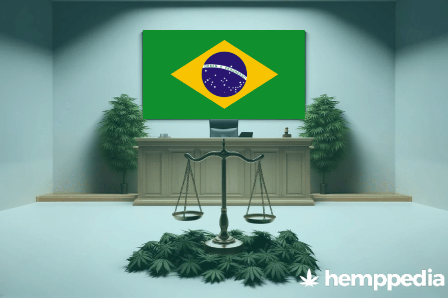 Ist Cannabis in Brasilien legal? – Update 2024