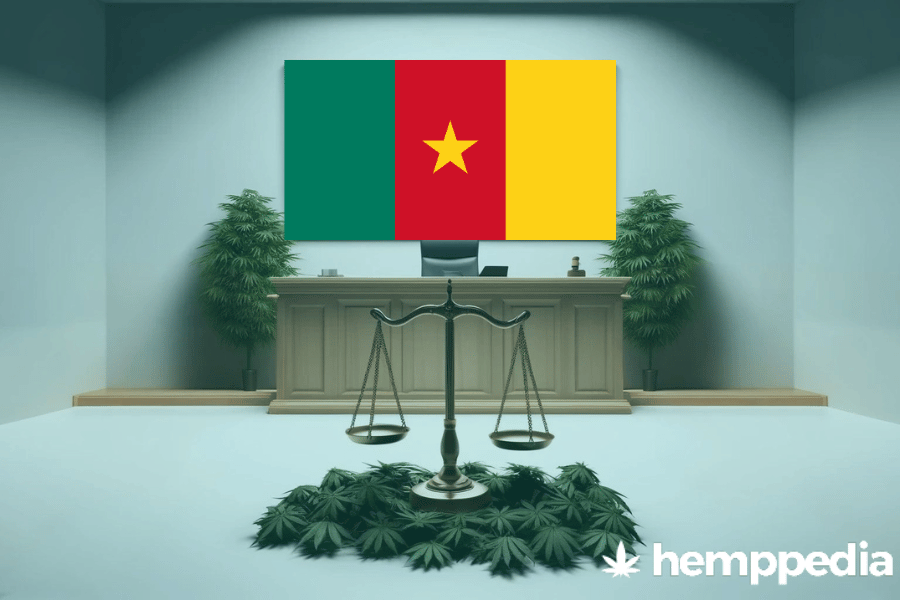 Ist Cannabis in Kamerun legal? – Update 2024