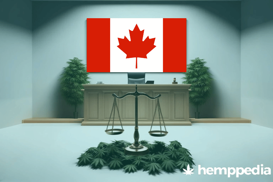 Ist Cannabis in Kanada legal? – Update 2024