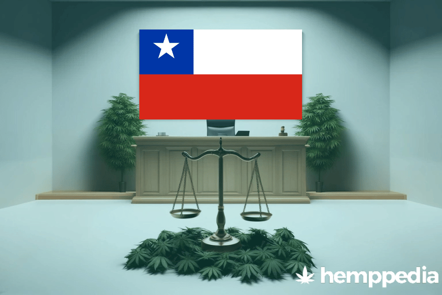 Ist Cannabis in Chile legal? – Update 2024