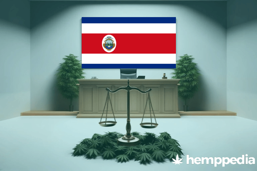 Ist Cannabis in Costa Rica legal? – Update 2024