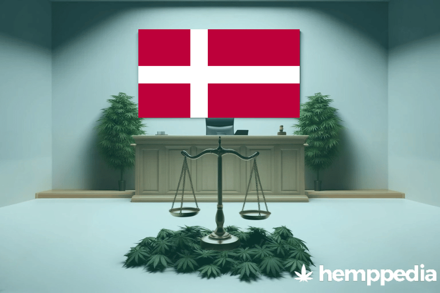 Ist Cannabis in Dänemark legal? – Update 2024