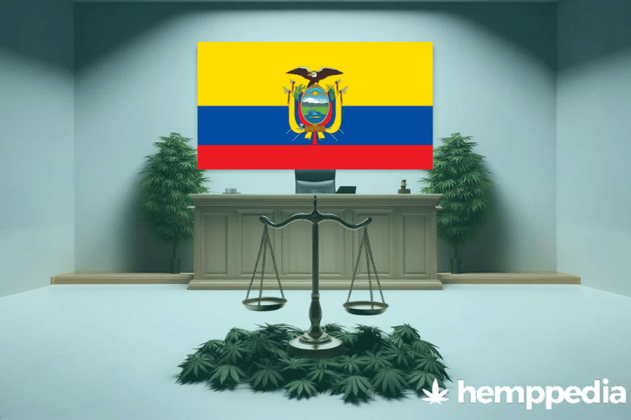 Ist Cannabis in Ecuador legal? – Update 2024