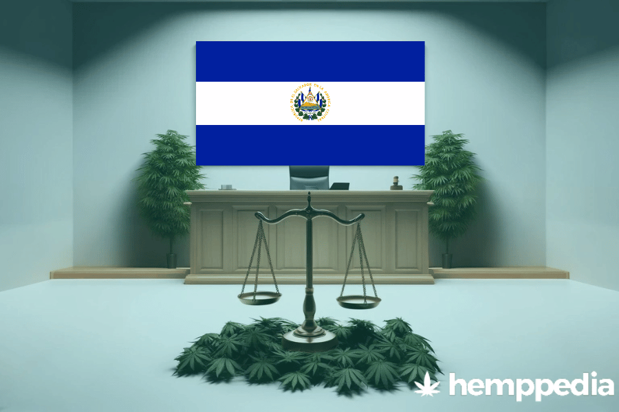 Ist Cannabis in El Salvador legal? – Update 2024