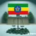 Picture portraying the legal situation in ethiopia
