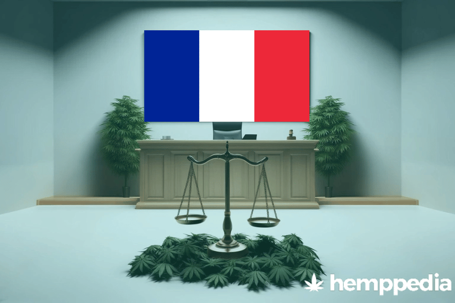 Ist Cannabis in Frankreich legal? – Update 2024