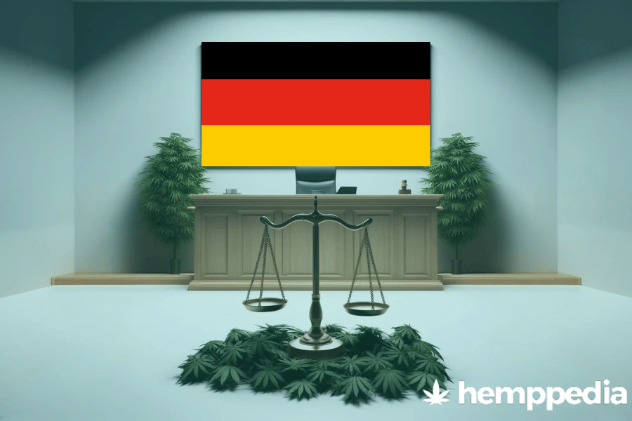 Ist Cannabis in Deutschland legal? – Update 2024