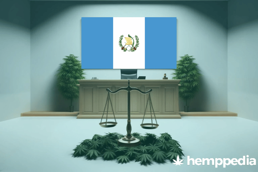 Ist Cannabis in Guatemala legal? – Update 2024