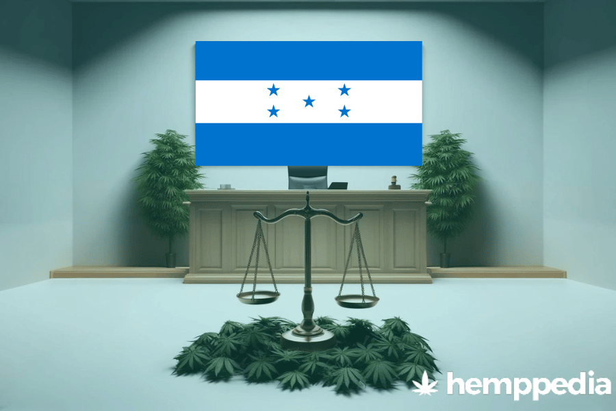 Ist Cannabis in Honduras legal? – Update 2024