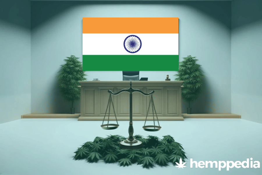 Ist Cannabis in Indien legal? – Update 2024