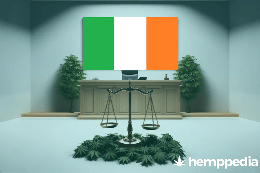 Ist Cannabis in Irland legal? – Update 2024