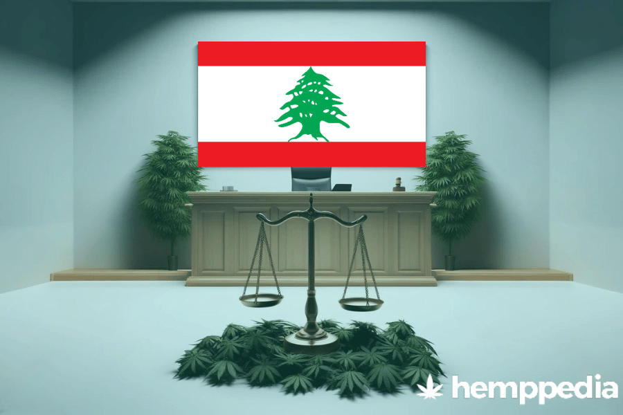 Ist Cannabis im Libanon legal? – Update 2024