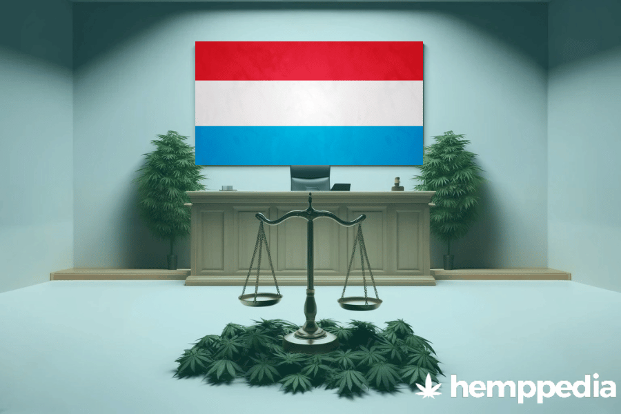 Ist Cannabis in Luxemburg legal? – Update 2024