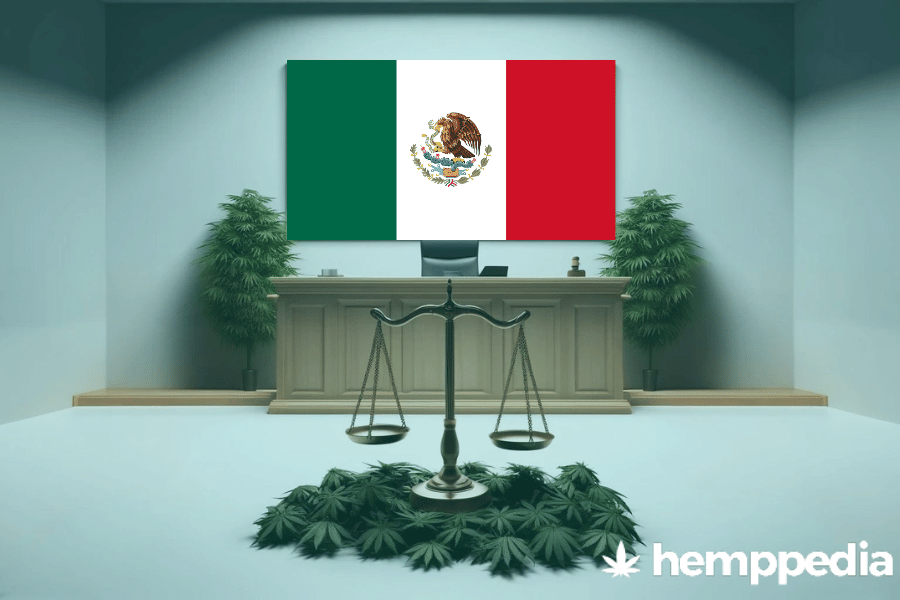 Ist Cannabis in Mexiko legal? – Update 2024