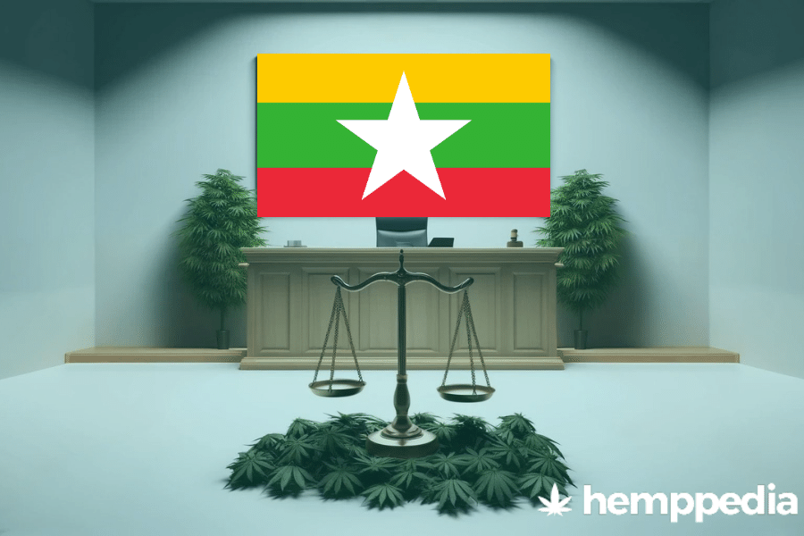 Ist Cannabis in Myanmar legal? – Update 2024