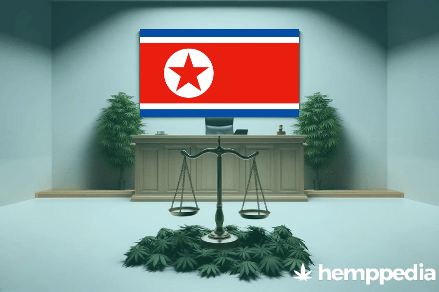 Ist Cannabis in Nordkorea legal? – Update 2024