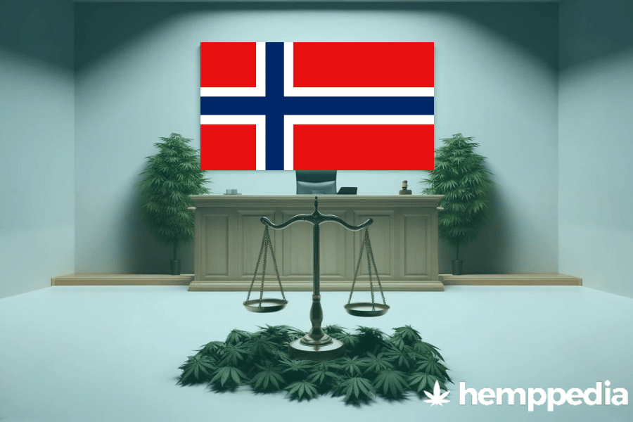 Ist Cannabis in Norwegen legal? – Update 2024