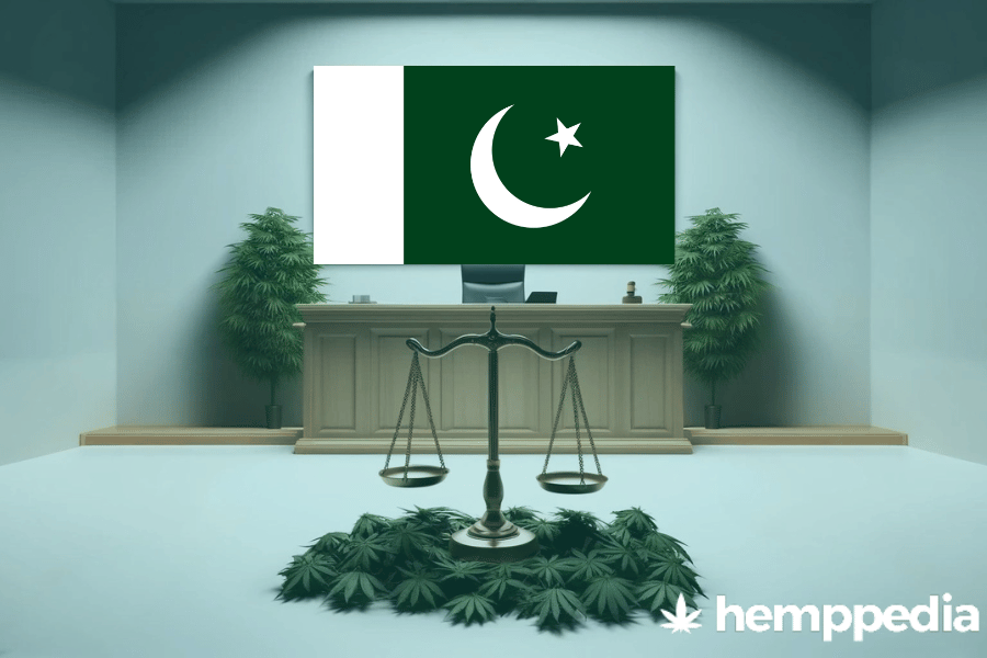Ist Cannabis in Pakistan legal? – Update 2024
