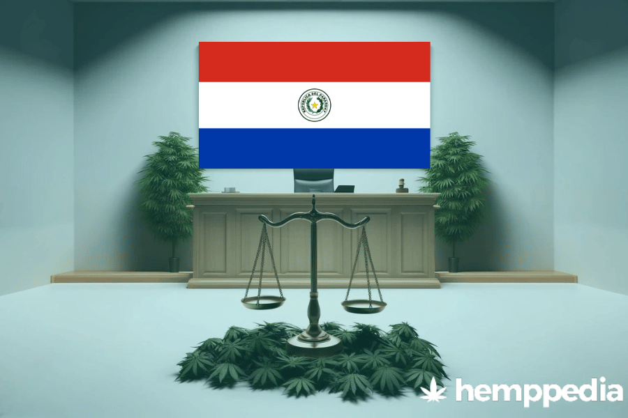 Ist Cannabis in Paraguay legal? – Update 2024