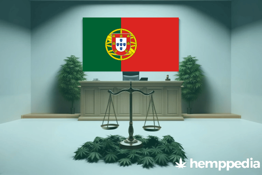 Ist Cannabis in Portugal legal? – Update 2024