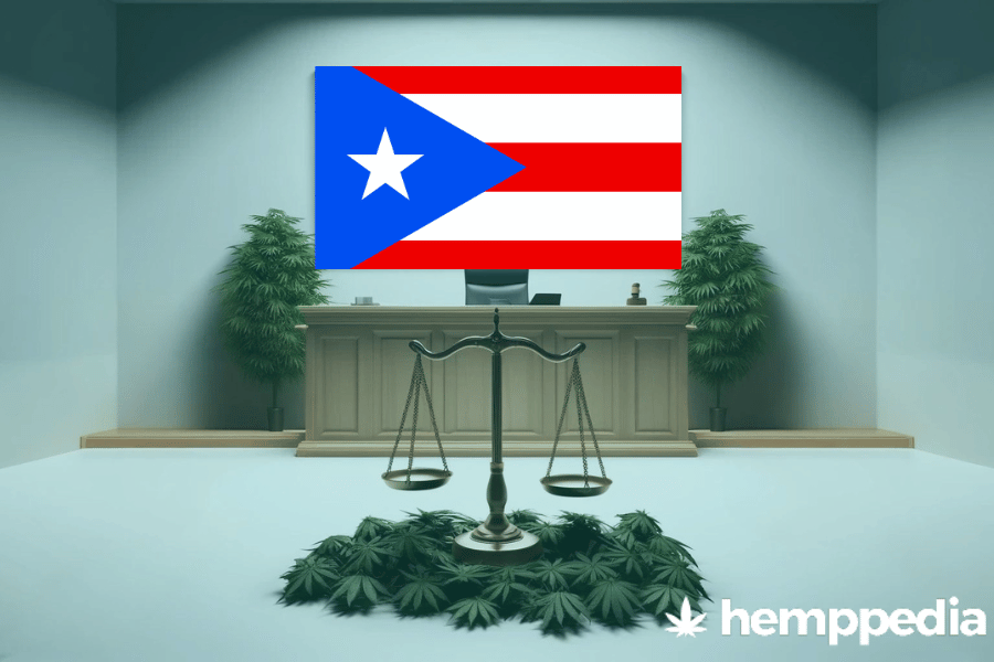 Ist Cannabis in Puerto Rico legal? – Update 2024