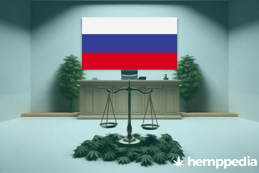 Ist Cannabis in Russland legal? – Update 2024