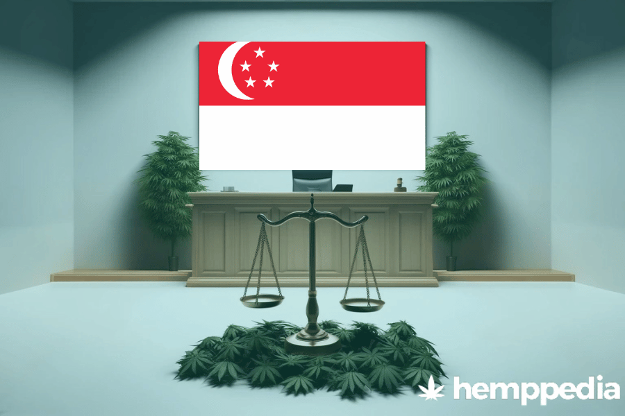 Ist Cannabis in Singapur legal? – Update 2024