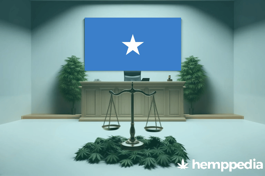 Ist Cannabis in Somalia legal? – Update 2024