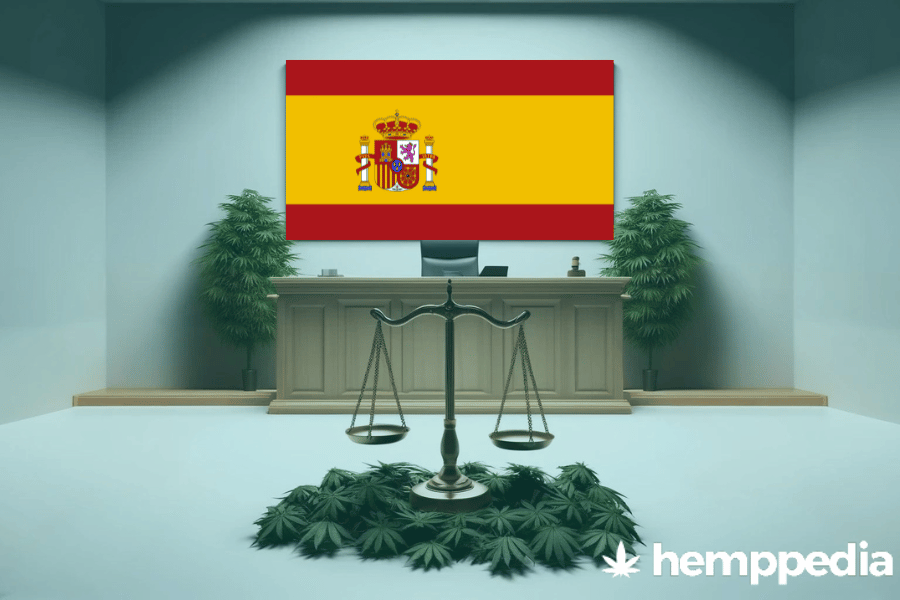 Ist Cannabis in Spanien legal? – Update 2024