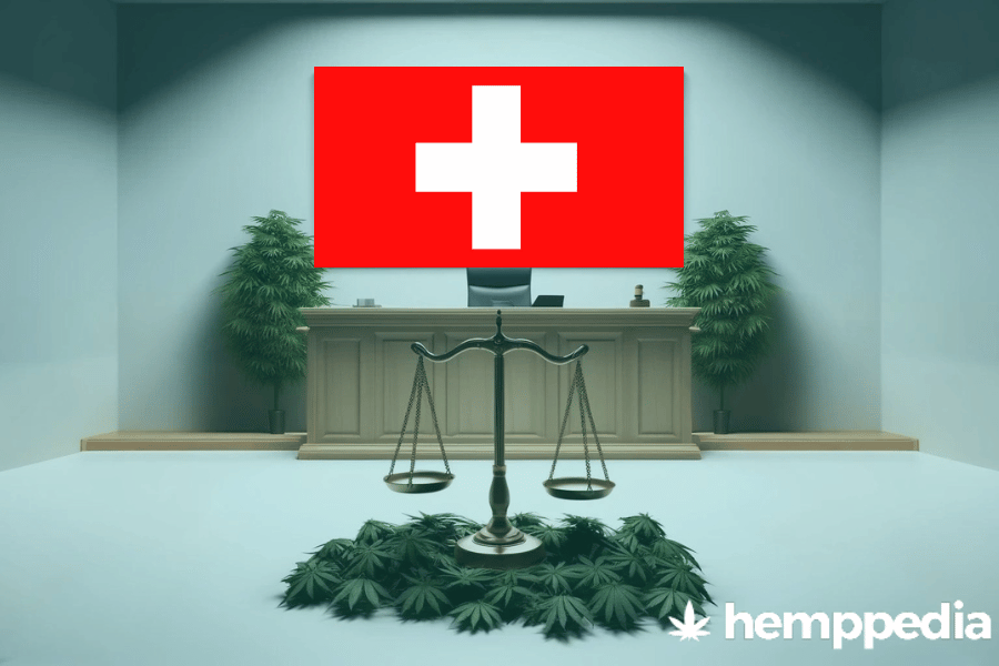 Ist Cannabis in der Schweiz legal? – Update 2024