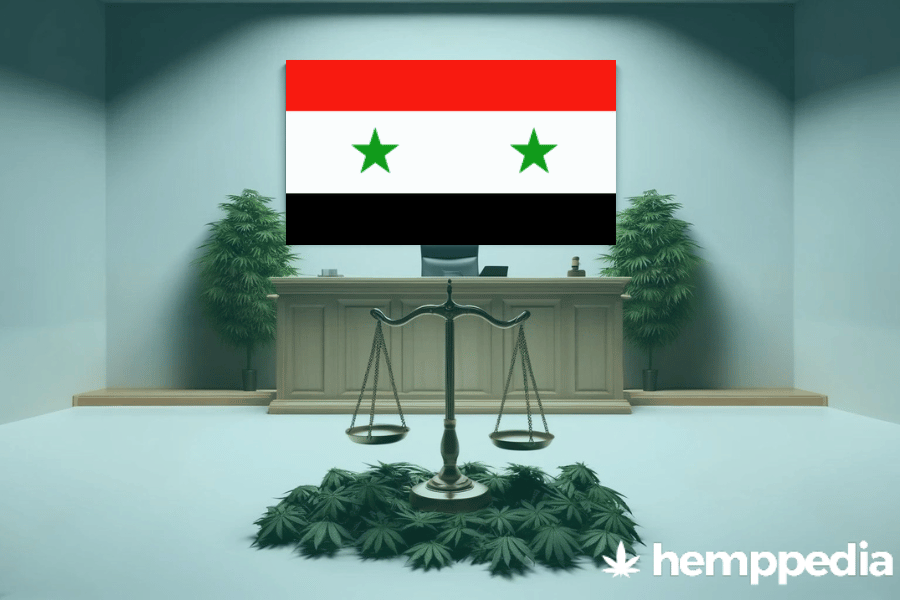 Ist Cannabis in Syrien legal? – Update 2024