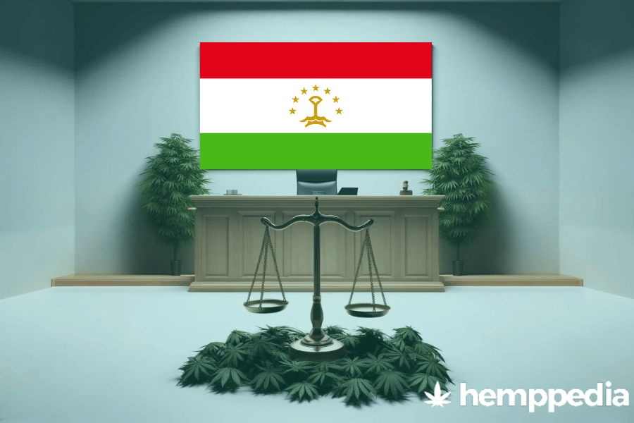 Ist Cannabis in Tadschikistan legal? – Update 2024