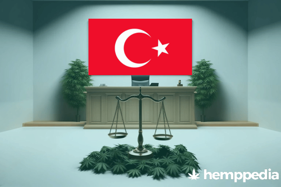 Ist Cannabis in der Türkei legal? – Update 2024